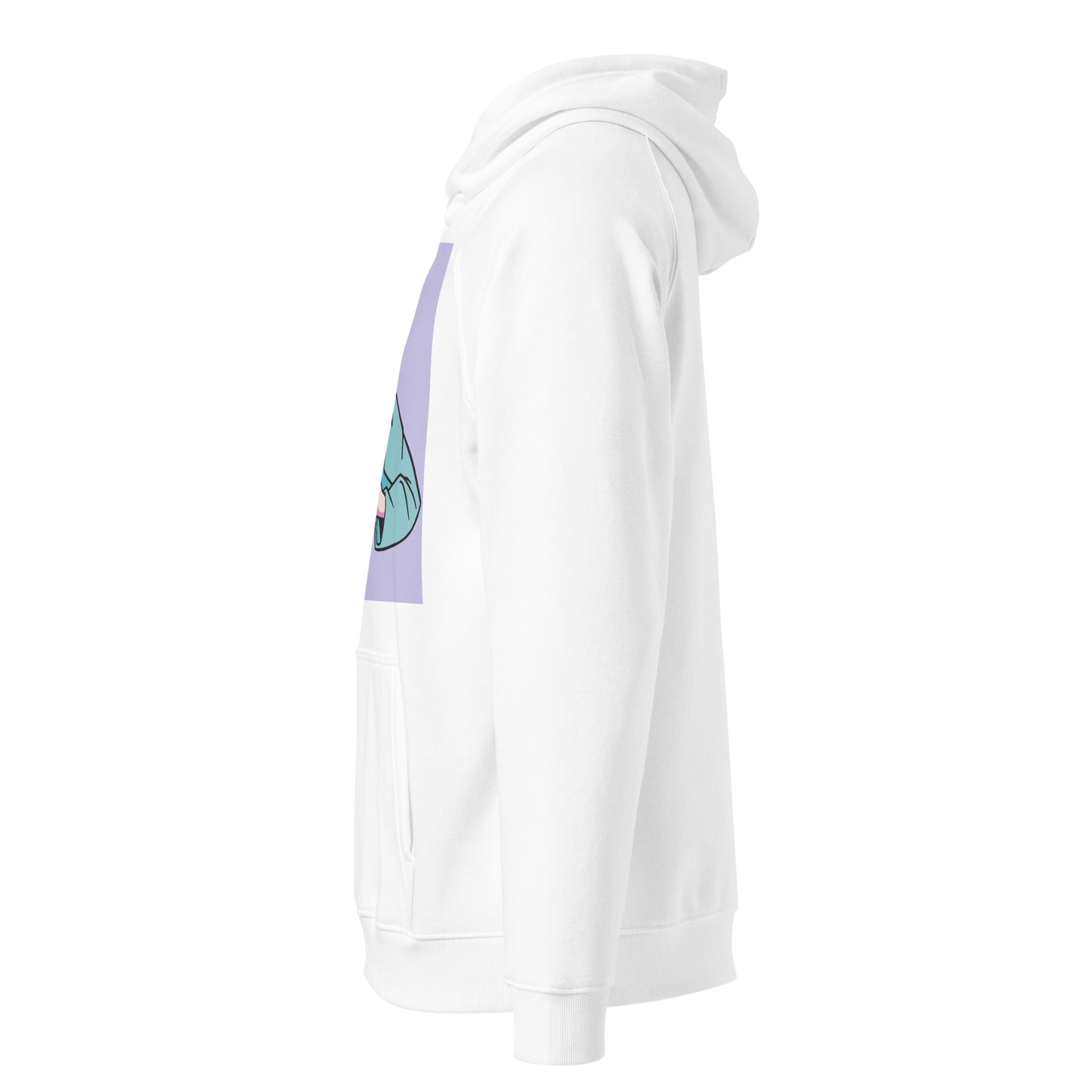 Unisex eco raglan hoodie